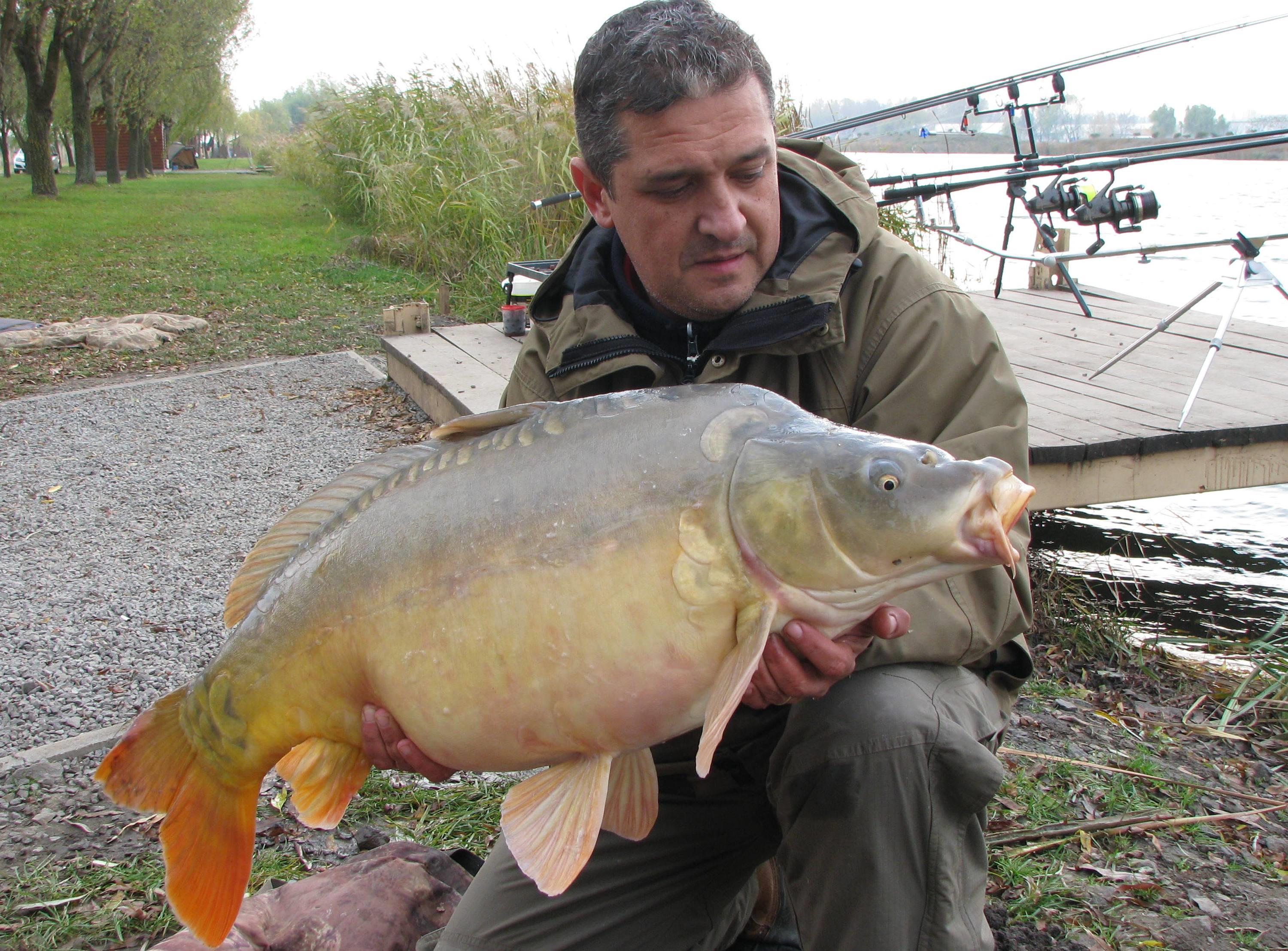 capturi - IMG_2787.JPG